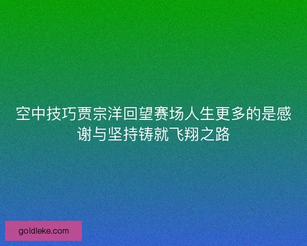 空中技巧贾宗洋回望赛场人生更多的是感谢与坚持铸就飞翔之路